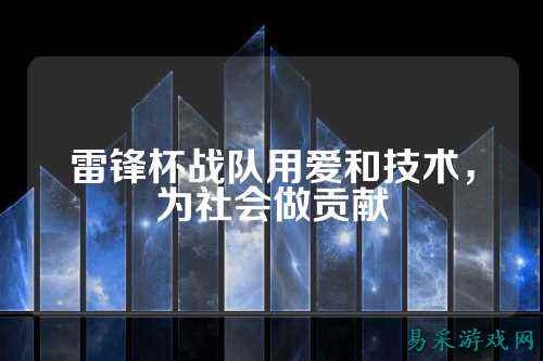 雷锋杯战队用爱和技术，为社会做贡献