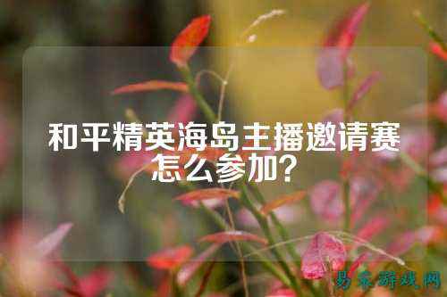 和平精英海岛主播邀请赛怎么参加？