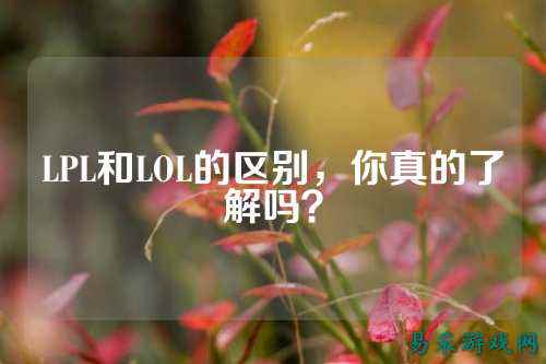 LPL和LOL的区别,你真的了解吗?