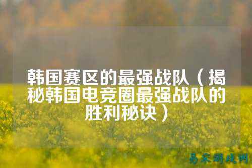 韩国赛区的最强战队（揭秘韩国电竞圈最强战队的胜利秘诀）