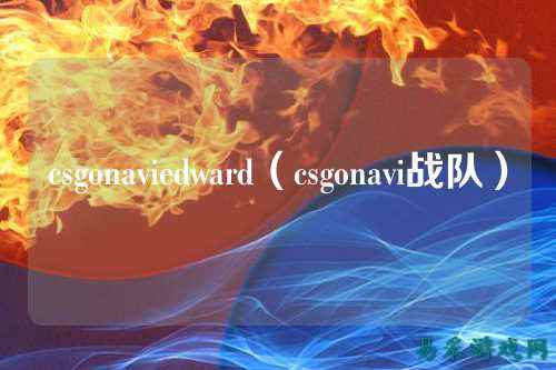 csgonaviedward(csgonavi战队)