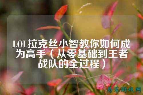 LOL拉克丝小智教你如何成为高手（从零基础到王者战队的全过程）