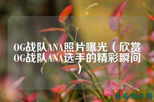 OG战队ANA照片曝光（欣赏OG战队ANA选手的精彩瞬间）