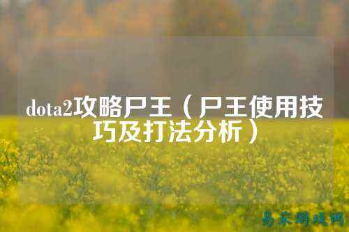 dota2攻略尸王（尸王使用技巧及打法分析）