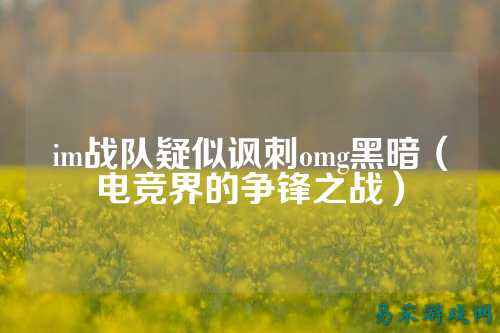 im战队疑似讽刺omg黑暗（电竞界的争锋之战）