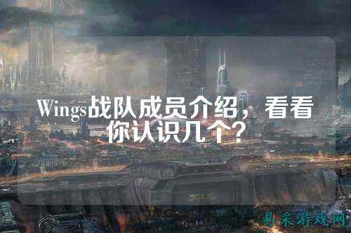 Wings战队成员介绍，看看你认识几个？
