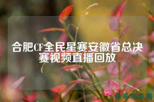 合肥CF全民星赛安徽省总决赛视频直播回放