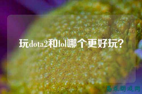 玩dota2和lol哪个更好玩？