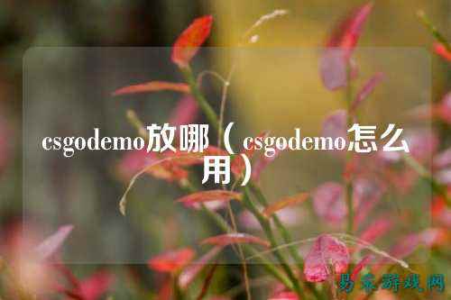 csgodemo放哪（csgodemo怎么用）