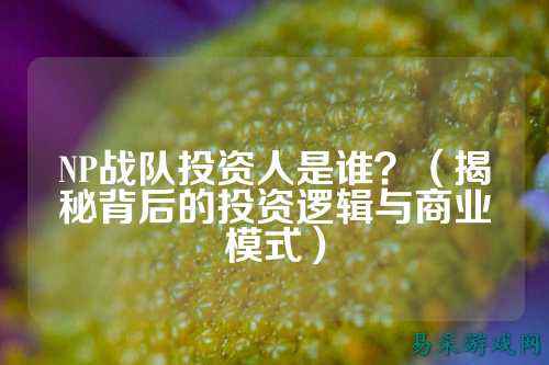 NP战队投资人是谁？（揭秘背后的投资逻辑与商业模式）