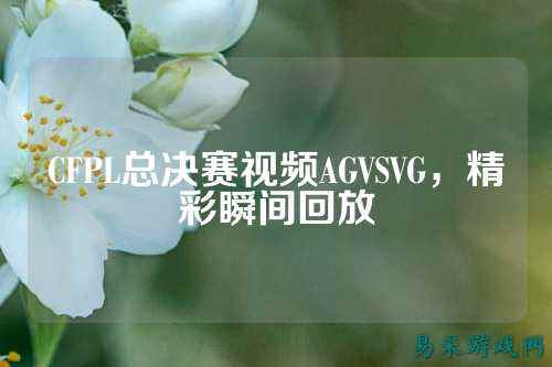CFPL总决赛视频AGVSVG，精彩瞬间回放