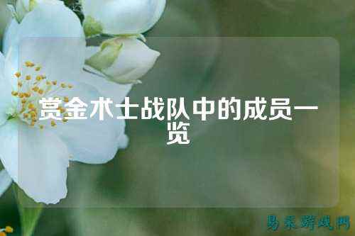 赏金术士战队中的成员一览