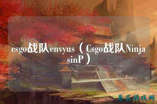 csgo战队envyus（Csgo战队NinjasinP）
