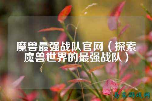 魔兽最强战队官网（探索魔兽世界的最强战队）