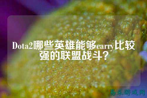 Dota2哪些英雄能够carry比较强的联盟战斗？