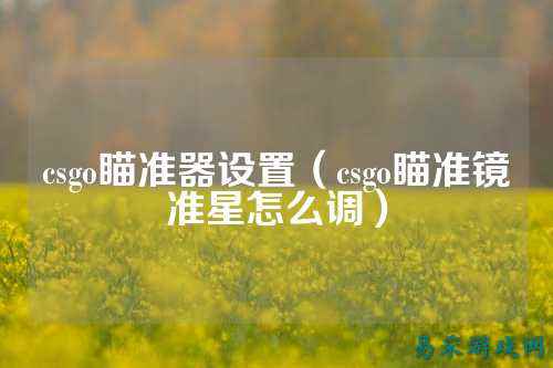 csgo瞄准器设置（csgo瞄准镜准星怎么调）