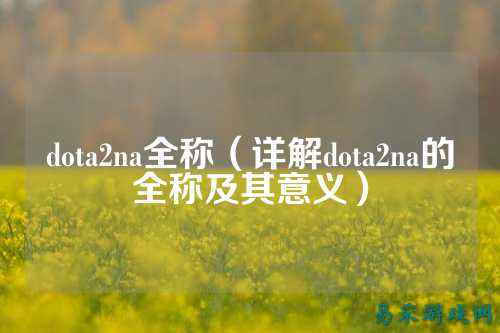 dota2na全称（详解dota2na的全称及其意义）