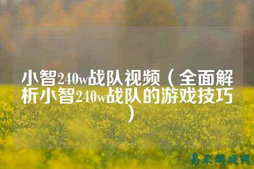 小智240w战队视频（全面解析小智240w战队的游戏技巧）