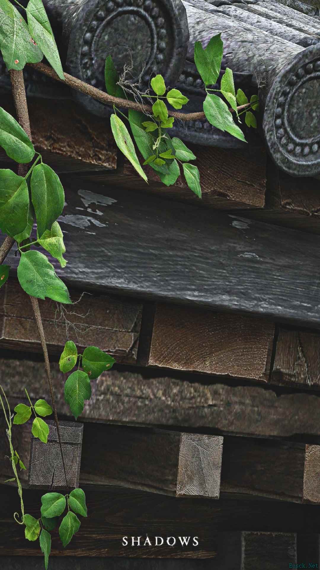 《刺客信条：影》视觉效果获玩家盛赞