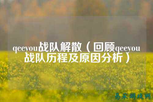 qeeyou战队解散（回顾qeeyou战队历程及原因分析）
