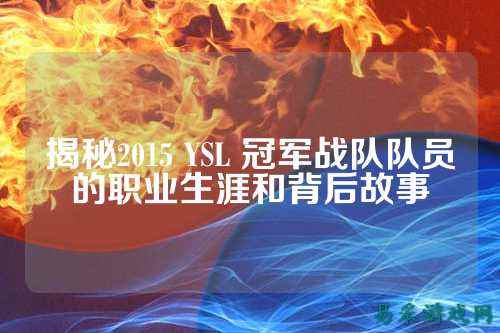 揭秘2015 YSL 冠军战队队员的职业生涯和背后故事