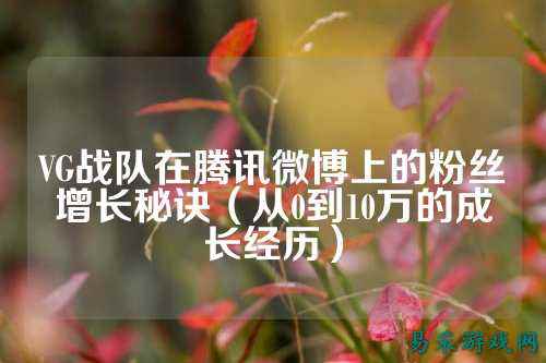 VG战队在腾讯微博上的粉丝增长秘诀（从0到10万的成长经历）