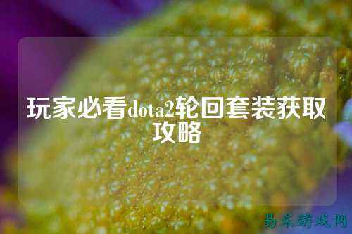 玩家必看dota2轮回套装获取攻略