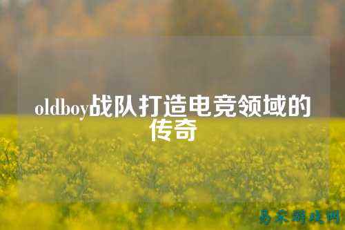 oldboy战队打造电竞领域的传奇