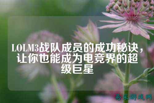 LOLM3战队成员的成功秘诀，让你也能成为电竞界的超级巨星