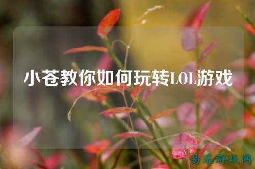 小苍教你如何玩转LOL游戏