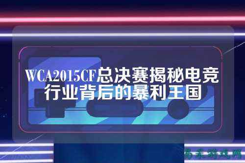 WCA2015CF总决赛揭秘电竞行业背后的暴利王国