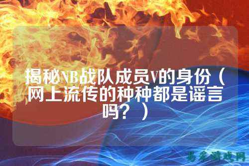 揭秘NB战队成员V的身份（网上流传的种种都是谣言吗？）