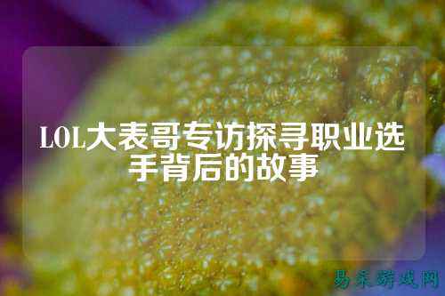 LOL大表哥专访探寻职业选手背后的故事