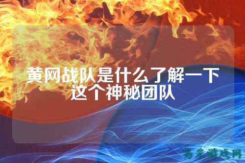 黄网战队是什么了解一下这个神秘团队