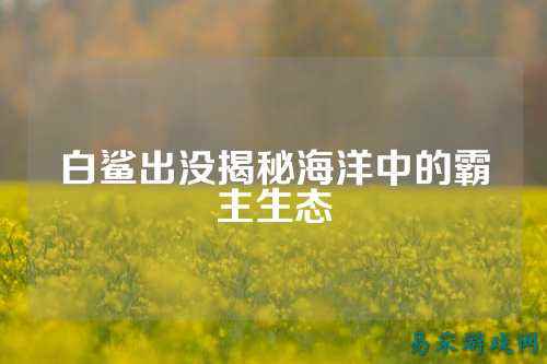 白鲨出没揭秘海洋中的霸主生态