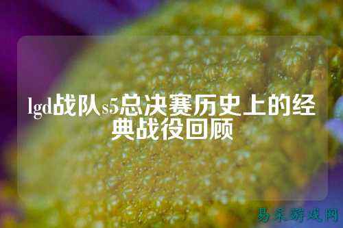 lgd战队s5总决赛历史上的经典战役回顾