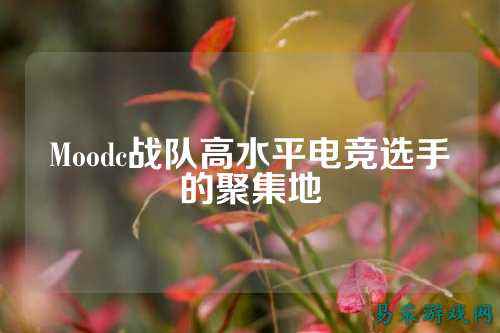 Moodc战队高水平电竞选手的聚集地