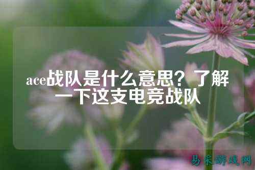 ace战队是什么意思？了解一下这支电竞战队