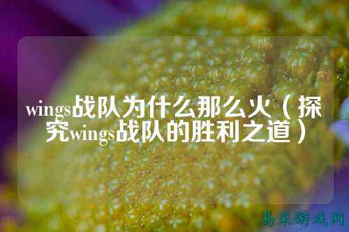wings战队为什么那么火（探究wings战队的胜利之道）