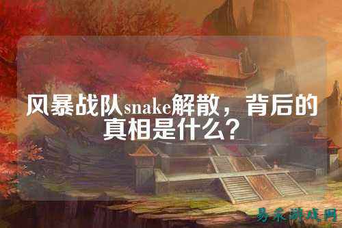 风暴战队snake解散，背后的真相是什么？