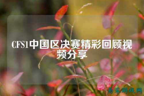 CFS1中国区决赛精彩回顾视频分享