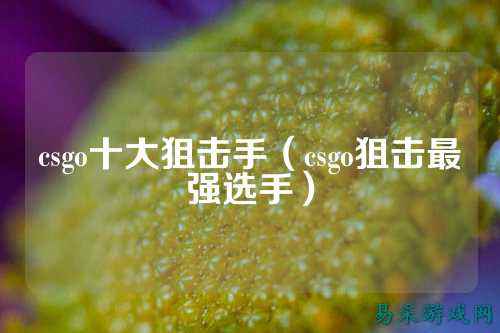 csgo十大狙击手(csgo狙击最强选手)