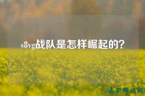 s8vg战队是怎样崛起的？
