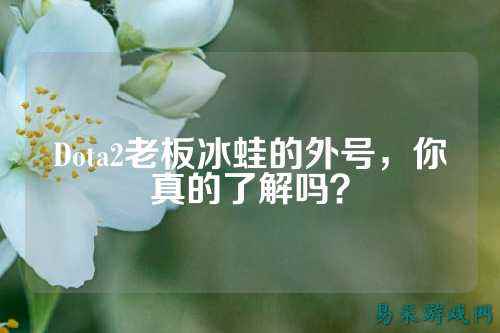 Dota2老板冰蛙的外号,你真的了解吗?