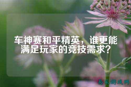 车神赛和平精英,谁更能满足玩家的竞技需求?