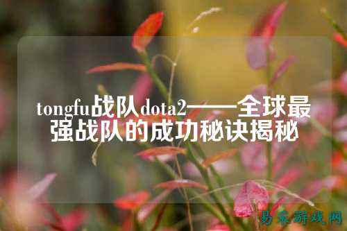 tongfu战队dota2——全球最强战队的成功秘诀揭秘