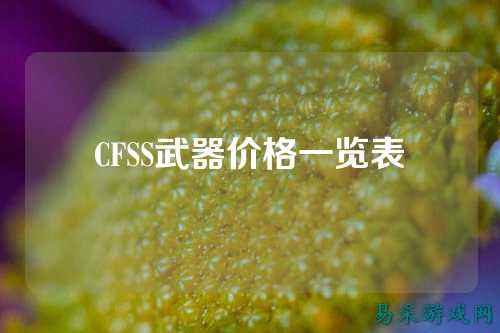 CFSS武器价格一览表
