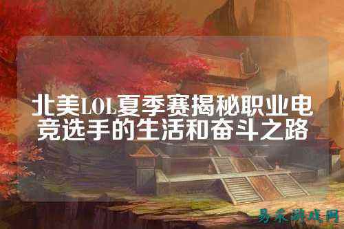 北美LOL夏季赛揭秘职业电竞选手的生活和奋斗之路