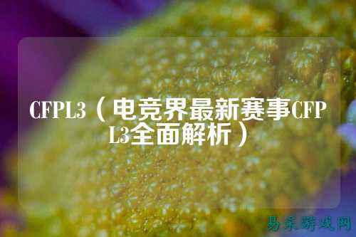 CFPL3(电竞界最新赛事CFPL3全面解析)