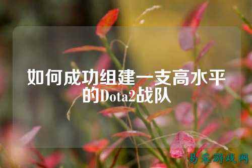 如何成功组建一支高水平的Dota2战队